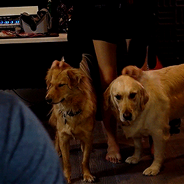 Henry And Chica Appear!