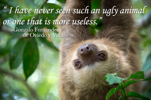 mentalflossr:  10 Brutal But Hilarious Old Disses of Adorable Animals