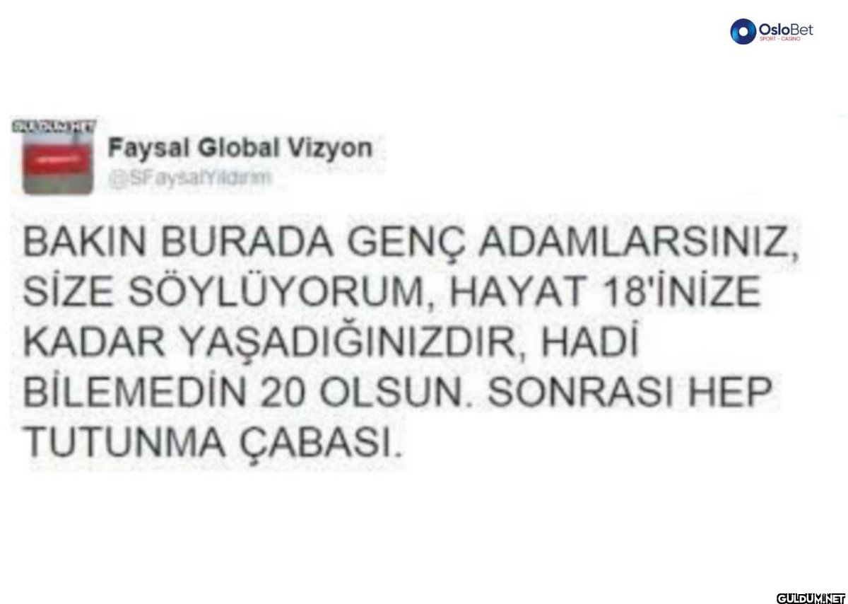 Faysal Global Vizyon...