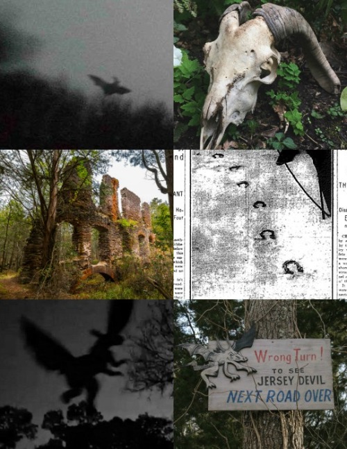Cryptid Aesthetics[3/?]: The Jersey Devil