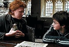 They’ve Got…they’ve Got Ron? The Thing Harry Potter Will Miss Most.