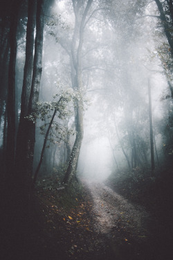 elenamorelli:  { almost lost in the mist } 