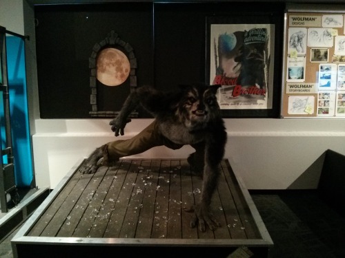 I took these photos a while ago when I visited the Telus World of Science Edmonton. #WerewolfWednesd