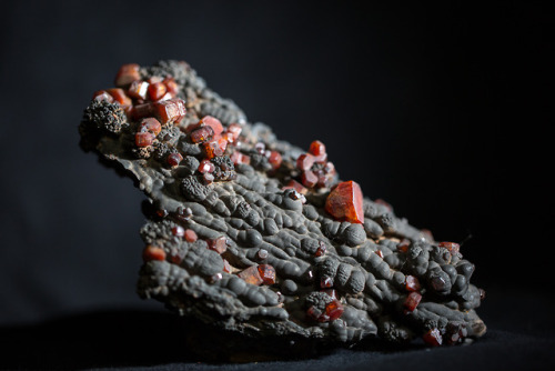 Vanadinite / CAS-G 15708Locality: Taouz, Er Rachidia Province, MoroccoDepartment: Invertebrate Zoolo