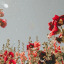 heyitsghena