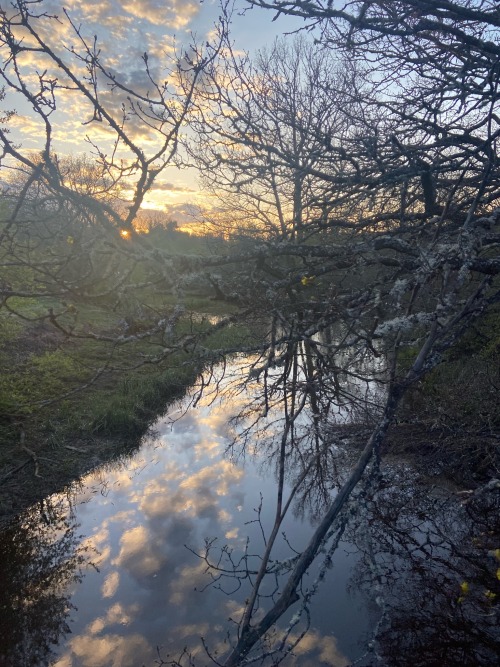 Spring Is Magical