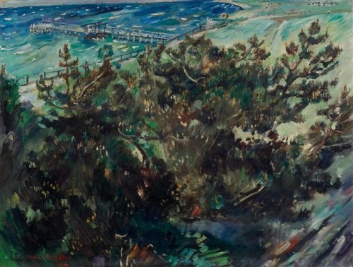 The Coast at Nienhagen    -    Lovis Corinth, 1917German,1858-1925oil on canvas, 73 x 99 cm  