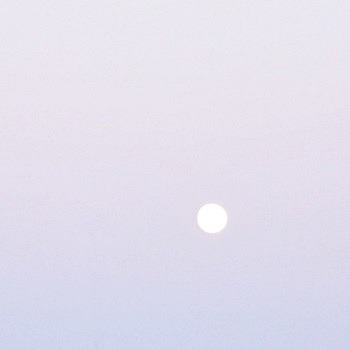 lavendervalar:peace of mindphotos by