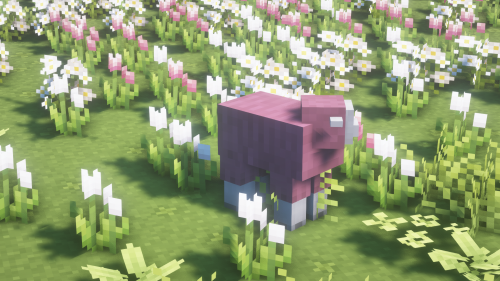 pinkw00l:pink sheep bby uwu ｡.｡:∞♡*