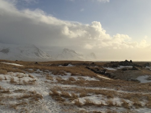 wellntruly:  ICELANDBúðirkirkja The black church at Búðir, on our last morning in Iceland. 