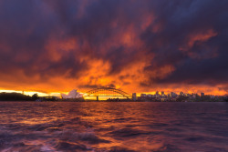 advice-animal:  One of those rare Sydney sunsets.http://advice-animal.tumblr.com/