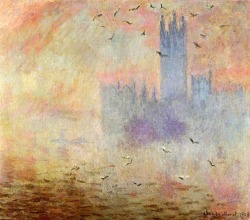 lonequixote:  Houses of Parliament, Seagulls