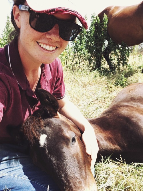 saisirlesjour:performing my job as a foal lap pillow, summer 2016