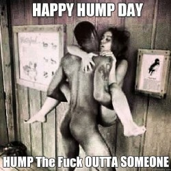 #Happy_Hump_Day