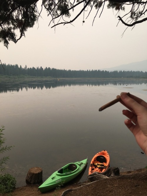 who-areyou-inside: Camping blunts ⛺️