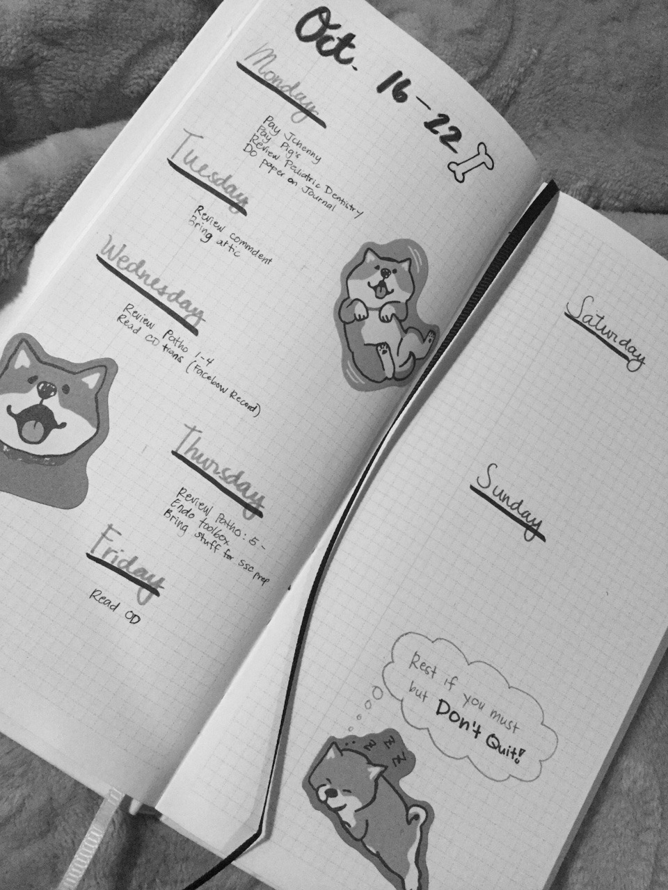 psydental:  Oct 14, 2017  I tried making a spread. But it’s not done yet. It looks