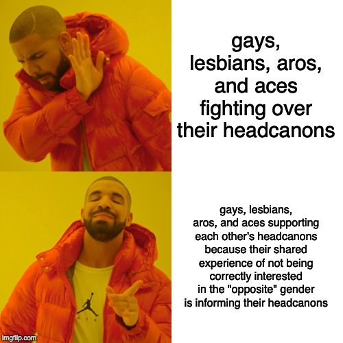 raavenb2619:[ID: The drake meme. The first panel shows a man disliking “gays, lesbians, aros, and ac