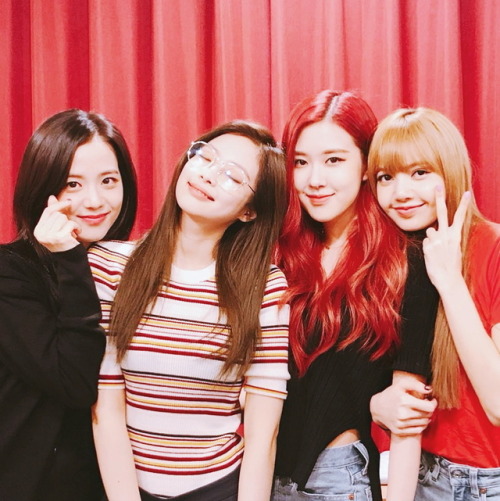 BLACKPINK OT4 Family icons ♡