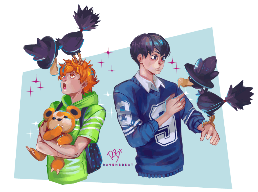 Ravens Junks