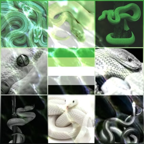 Aromantic + Snakes Aesthetic[ID: the first image is an aesthetic board with nine pictures in a 3 x 3