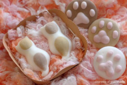 meowoofau:  cat marshmallows What’s fluffy,