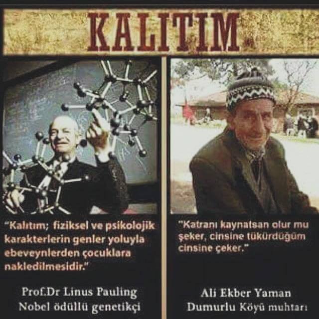 KALITIM 
Nobel ödüllü...