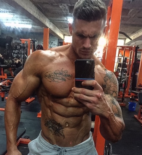 Adonis Files