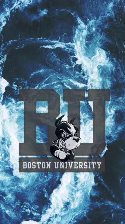 Boston University Terriers /requested by anonymous/