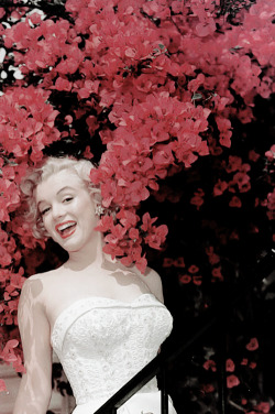 ourmarilynmonroe:  Marilyn Monroe photographed by Don Ornitz, 1951.