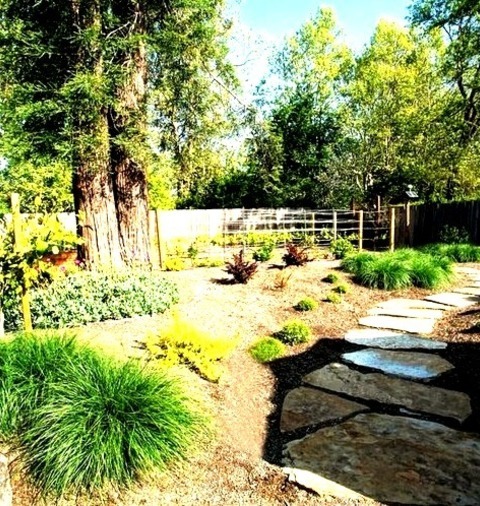 Pathway Landscape San Francisco