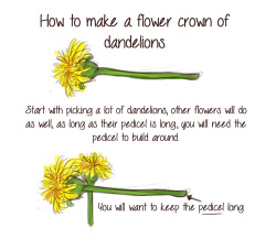 yejimeatbun:  headfirstforieros:tellusanotherstory:  A how to make flower crowns with dandelions. Not sure if it will work on other flowers, but as long as the stalk/pedicel is long it should be alright O v O Also I hope it’s understandable ahah  are