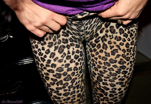 ourpleasureoutlet:  kitty paws.. 