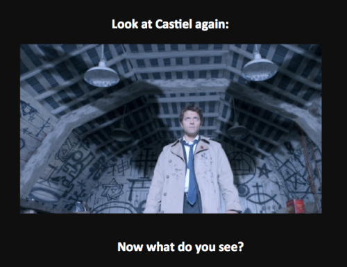northern-sparrow:  All right, I was forced to start up a tumblr just to post this thing. So, I watched the first five seasons of Supernatural while doing field research on the birds of northern Alaska, and when Castiel spread his wings for the first time