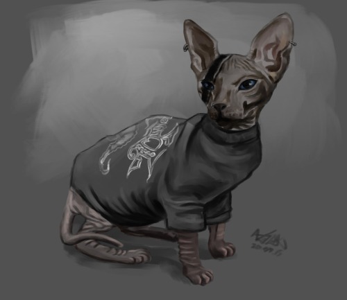 anitreth:  Because skrymer is a cat,