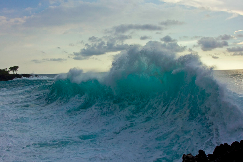 tulipnight:   End of the World by Bo Pardau 