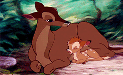 joshutchersonn:favorite movies: Bambi (1942)“Where one thing falls, another grows. Maybe not what wa