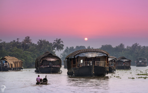 Kerala’s HouseboatsThe Kettuvallams, were traditionally used as grain barges, to transport the rice 
