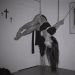 idieinmydaydream:Delia Vair