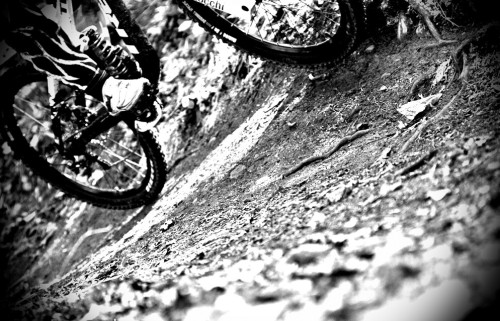 you-call-that-a-bike:  Smooth and slick Californian berms!