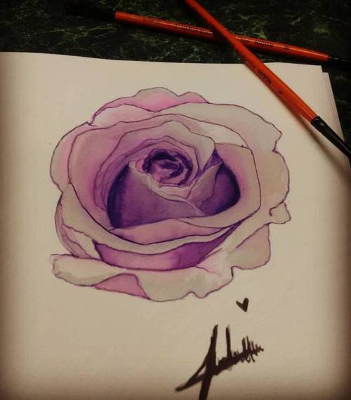 Ya volví amiguitos, me ausente algunas semanas pero ya estoy aqui. #rosas #flowers #art #fabriano #watercolorsart