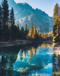 travelgurus:Calmness on the Merced River, Yosemite National ParkFollow Me For More