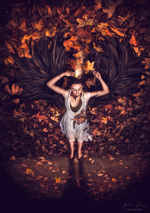 Phoenix by {jessica drossin} on Flicr at flic.kr/p/2eqrswY