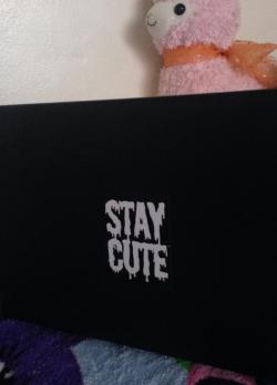 pastel-cutie:  Stay cute 4 life ♥