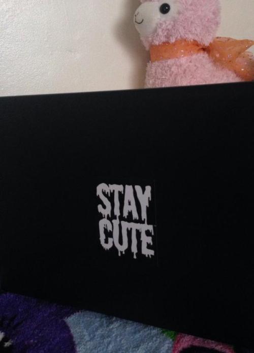 pastel-cutie:  Stay cute 4 life ♥ porn pictures