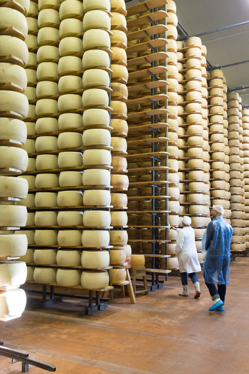 A Parmigiano Steam BathLocation: Castelnovo Sotto, ItalyWhile count ourselves amongst the world’s mo