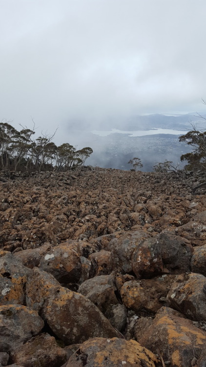 Dolerite boulder field- Kunanyi/Mt. Wellington, Hobart Tasmania-Dolerite is a term for basaltic igne