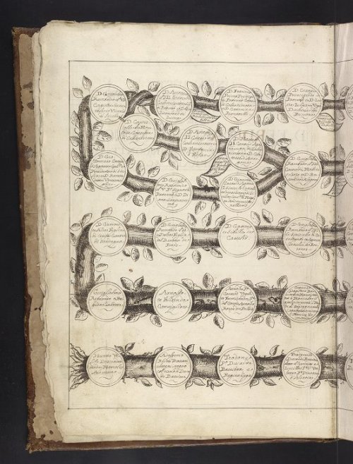 Ms Codex 496, written in Camerata, Sicily in 1696, is a genealogy of the Moncadi family of Sicily an