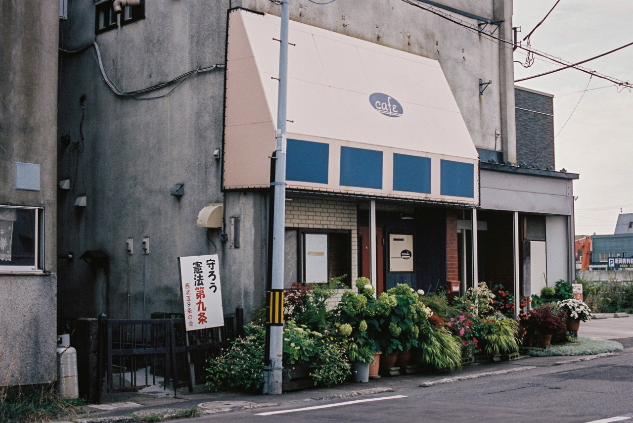 路上園芸 Tumblr Posts Tumbral Com 路上園芸 Tumblr Posts Tumbral Com