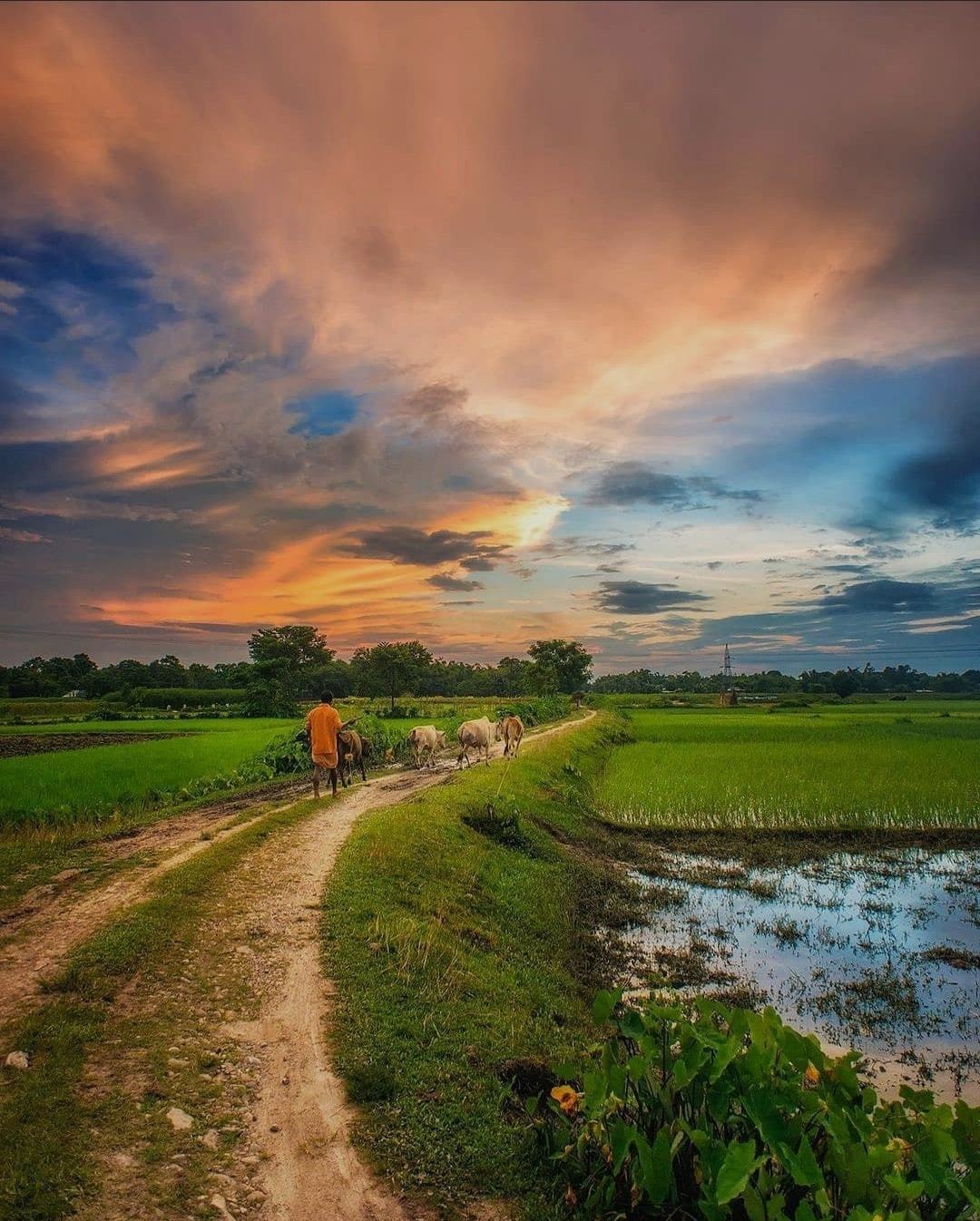 Natural Beauty Of Bangladesh