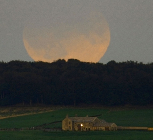 web1995:Луна восходит над Англией во время затмения11.09.2006Авторы и права: Гейн ЛиПеревод: Д.Ю.Цве